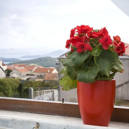 Tatil Evi Gardenia House