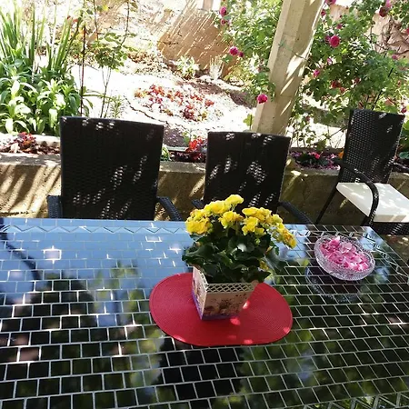 Gardenia House * Janjina